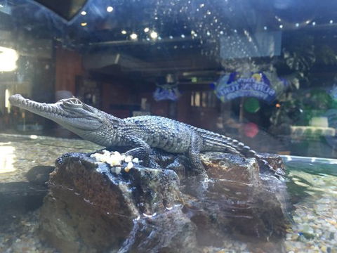 Tim’s Surf ‘n’ Turf - E Caravan Parks 0