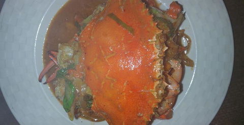 Salt Cafe - E Caravan Parks 0