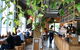 Besser Kitchen & Brew Bar - thumb 8