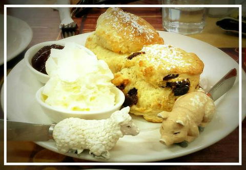 Sticky Beaks Cafe Longford Tasmania - E Caravan Parks 0