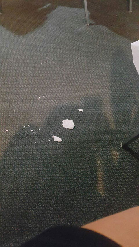 New Panda Chinese Restaurant - E Caravan Parks 1