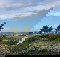 Coffee Cat - E Caravan Parks