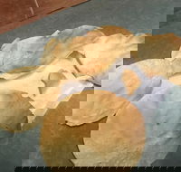 The Taj Restaurant - E Caravan Parks