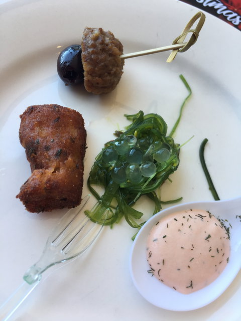 Aurora Ozone - E Caravan Parks 7