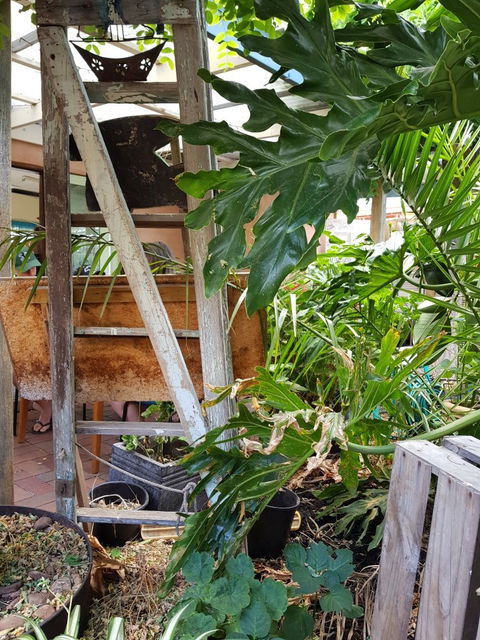 Chill Out - E Caravan Parks 1