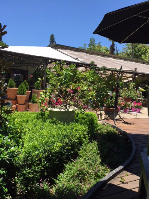 Vines Restaurant At Limberlost Nursery - E Caravan Parks 4