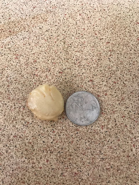 Noosa Harbour Fish Market - E Caravan Parks 1