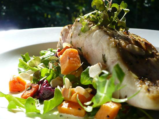 Cape Tribulation QLD E Caravan Parks