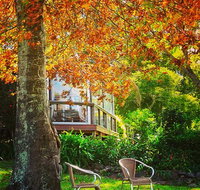 The Woods Ravensbourne - E Caravan Parks