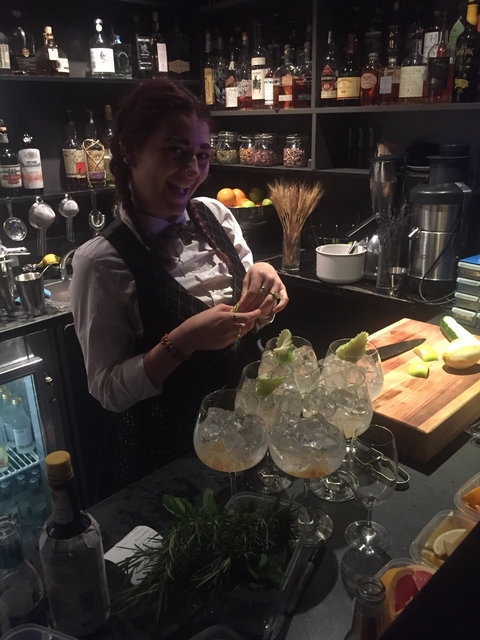 Gin Palace - E Caravan Parks 1