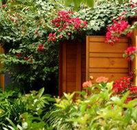 Pink Flamingo - E Caravan Parks