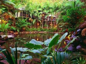 Daintree Eco Lodge & Spa - E Caravan Parks 0