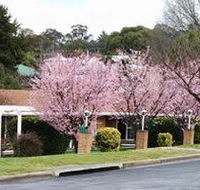 White Lanterns Motel - E Caravan Parks