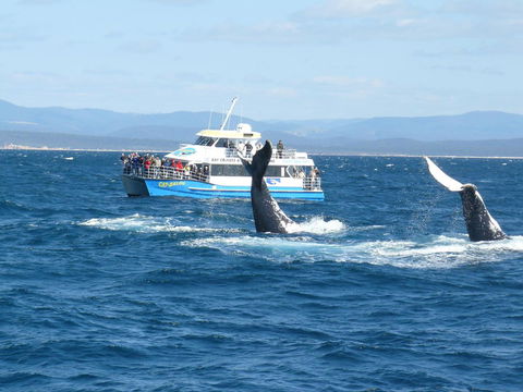 Heritage House Motel & Units - E Caravan Parks 28