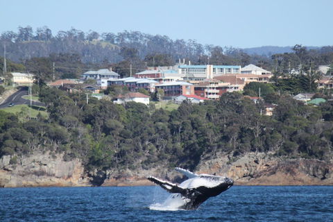 Heritage House Motel & Units - E Caravan Parks 27