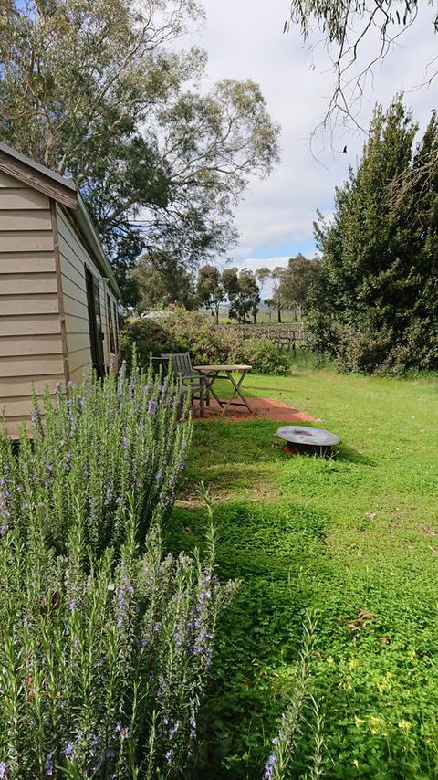 Lost In The Vines - E Caravan Parks 22