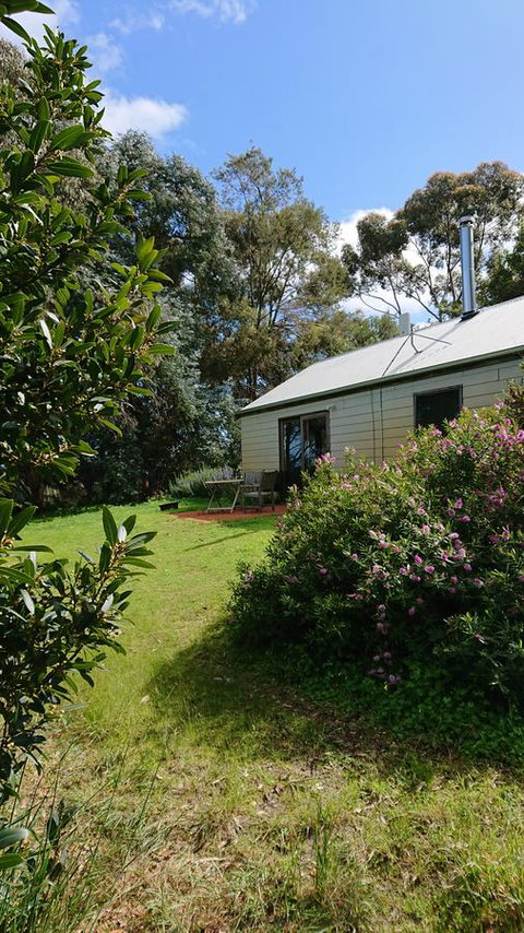 Lost In The Vines - E Caravan Parks 26