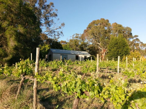 Lost In The Vines - E Caravan Parks 25
