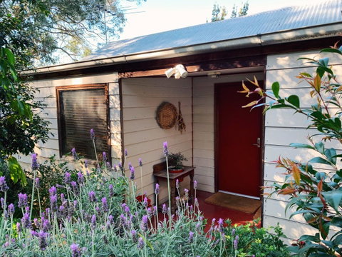 Lost In The Vines - E Caravan Parks 13