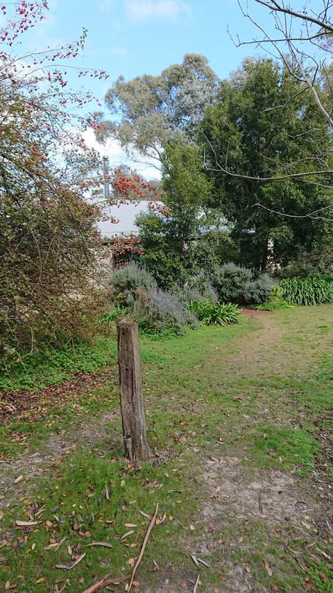 Lost In The Vines - E Caravan Parks 21