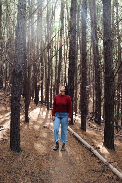Lost In The Vines - E Caravan Parks 19