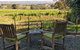 Lost In The Vines - thumb 23
