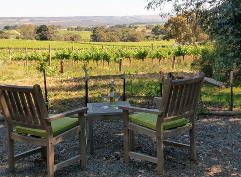 Lost In The Vines - E Caravan Parks 23
