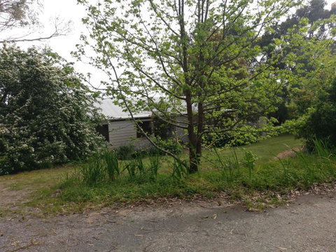 Lost In The Vines - E Caravan Parks 24