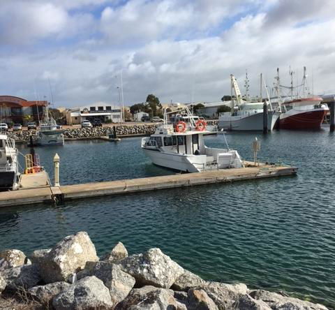 Port Lincoln Shark Apartment 1 - E Caravan Parks 14