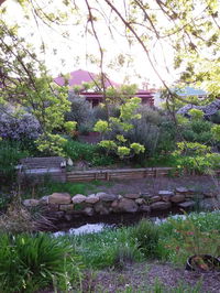 Book Willunga Accommodation Vacations E Caravan Parks E Caravan Parks