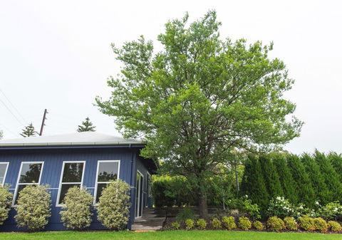S T U D I O 22 Peaceful Retreat With Garden Views - E Caravan Parks 11