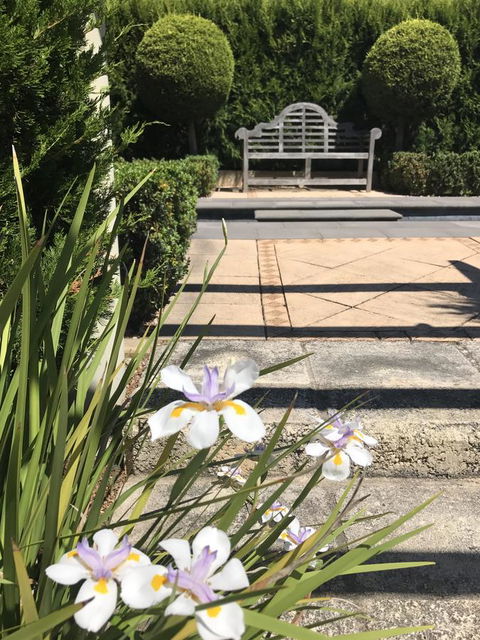 S T U D I O 22 Peaceful Retreat With Garden Views - E Caravan Parks 13