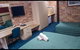 Windsor Terrace Motel - thumb 4