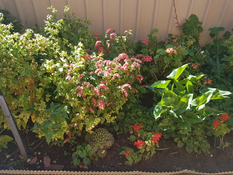 Tanunda\'s Magpie House - E Caravan Parks 24