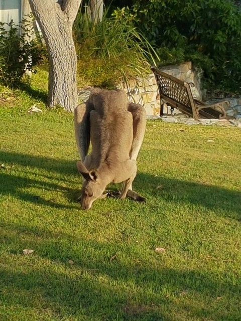 \'Point Break\' Your Waterfront Break At The Point - E Caravan Parks 12