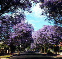 Monaco Court Apartment Adelaide - E Caravan Parks