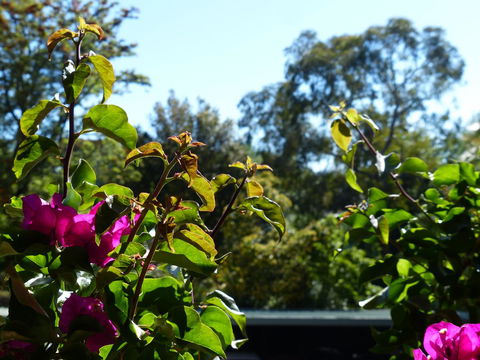 Monaco Court Apartment Adelaide - E Caravan Parks 11
