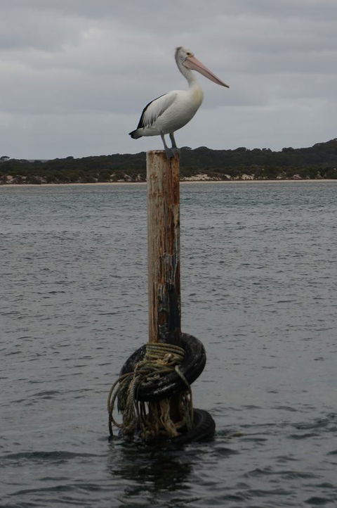 Kohinoor Getaway - E Caravan Parks 13