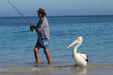 Ceduna Foreshore Caravan Park - E Caravan Parks 21