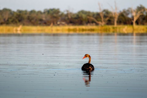 Discovery Parks - Lake Bonney - E Caravan Parks 36