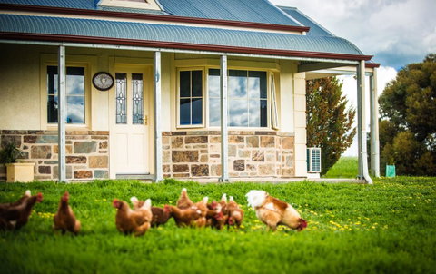 Barossa Vineyard Cottages - E Caravan Parks 40