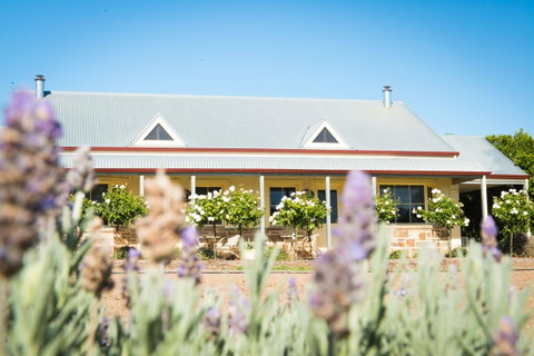 Barossa Vineyard Cottages - E Caravan Parks 3