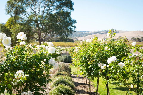 Barossa Vineyard Cottages - E Caravan Parks 1