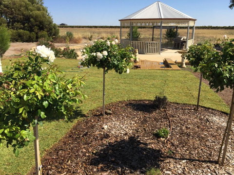 Barossa Vineyard Cottages - E Caravan Parks 43