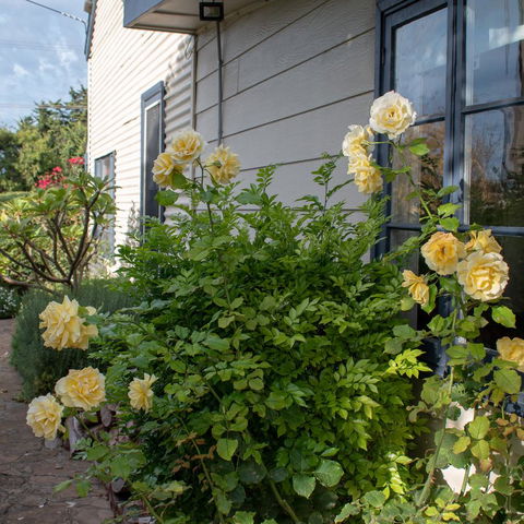 Haven Cottage Kangaroo Island - E Caravan Parks 1