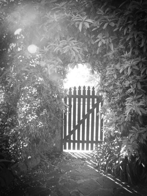 Haven Cottage Kangaroo Island - E Caravan Parks 33