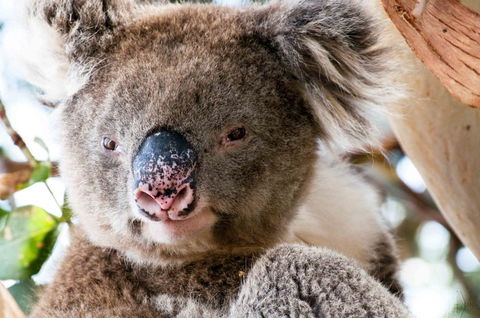 Admirals Inn - E Caravan Parks 31