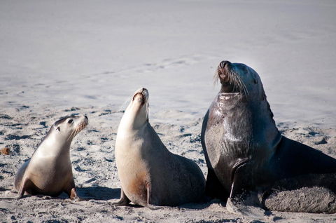 Admirals Inn - E Caravan Parks 39