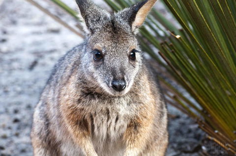 Admirals Inn - E Caravan Parks 32