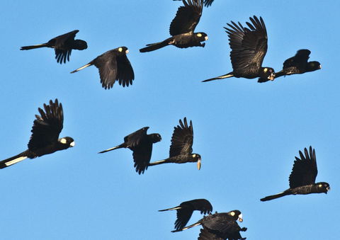 Admirals Inn - E Caravan Parks 42